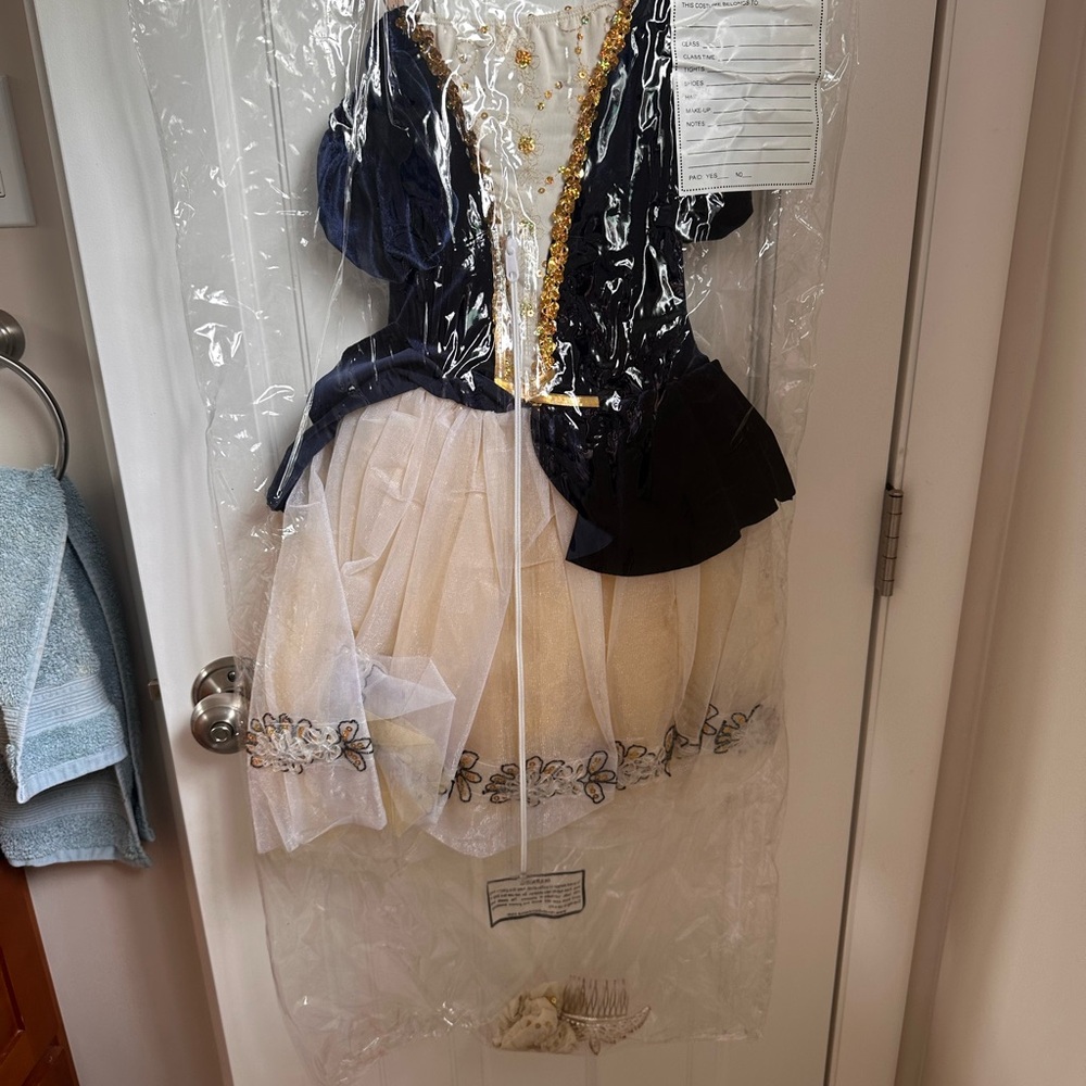 Revolution Gold and Black Dance Costume